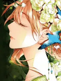 漫画改编片种标签示意图